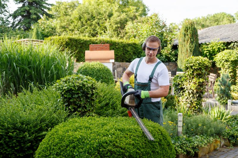 Lilac Trimming Service in Ventura County, CA