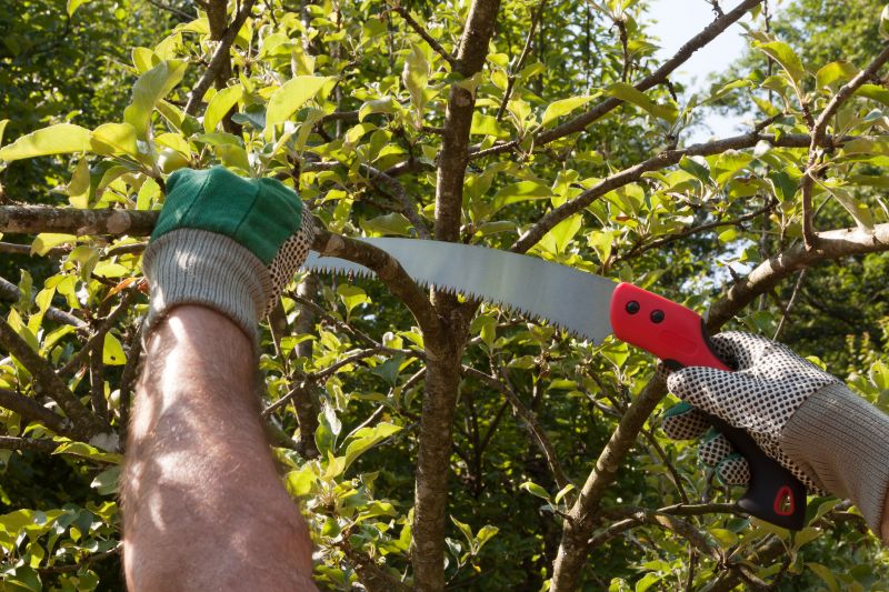 Limbs Trimming